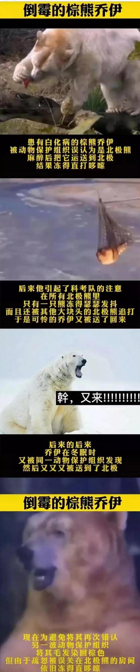 搞笑图片幽默段子笑话：雨过了，天晴了，你觉得你又行了