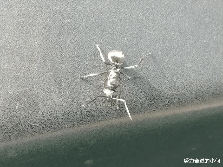 “能让男生试过后就着迷的东西是什么啊?” “能让男生试过后就着迷的东西是什么啊?”