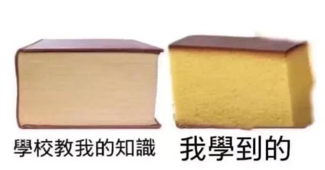 为什么我看的这个网站上有一只小浣熊在骂人 为什么我看的这个网站上有一只小浣熊在骂人