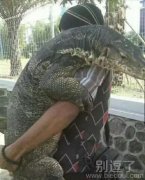 这小伙勇气可嘉呀 这小伙勇气可嘉呀