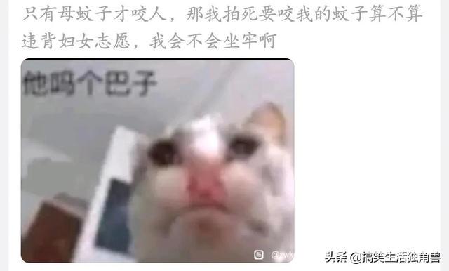 神回复:村里人都说村东头有个傻子,为啥我住东头多年一直没见过 神回复:村里人都说村东头有个傻子,为啥我住东头多年一直没见过