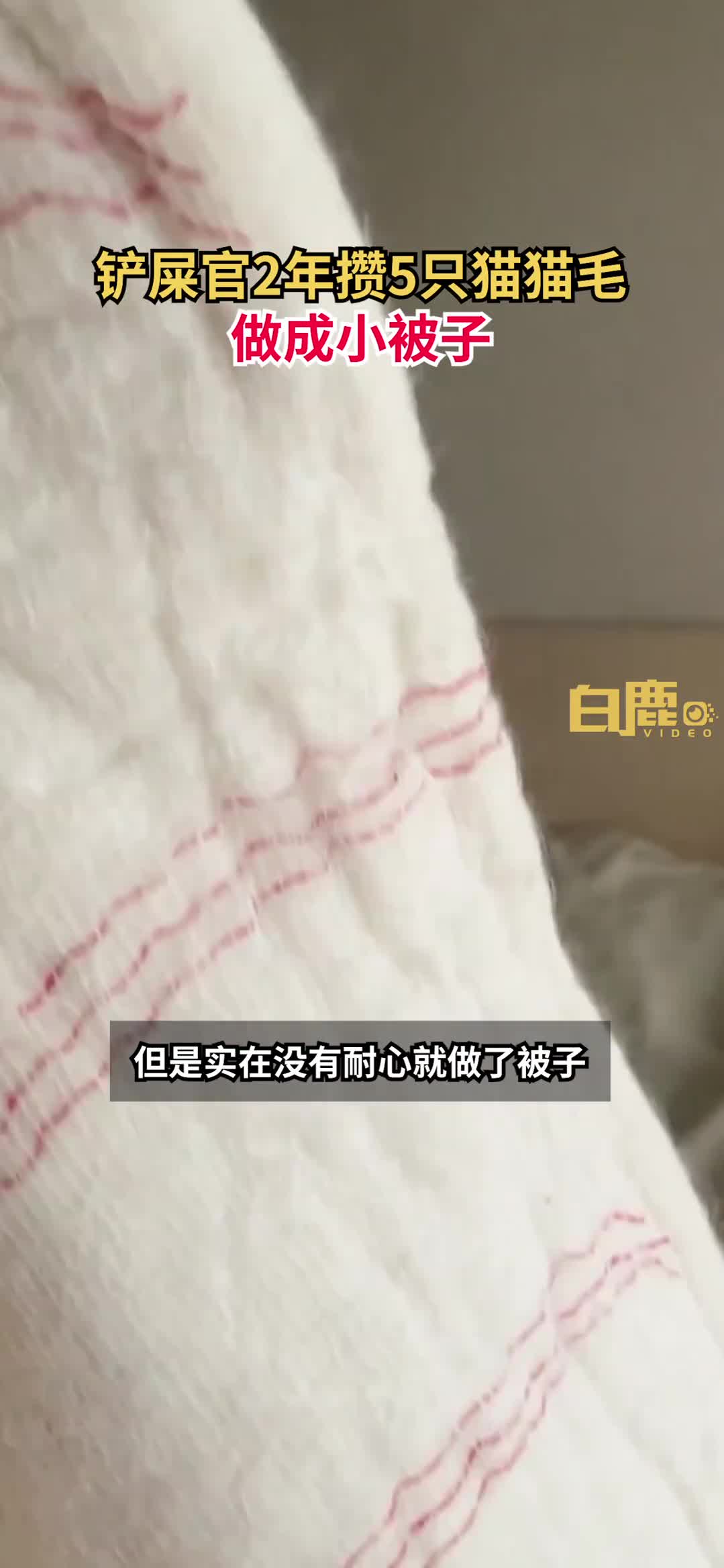 轻松一刻：男女深夜电梯里亲热，没想到隔墙有眼