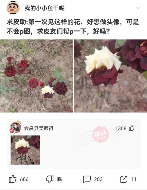 神评爆笑合集:19岁了,身体长成这样还有救吗?神评把我气哭了 神评爆笑合集:19岁了,身体长成这样还有救吗?神评把我气哭了