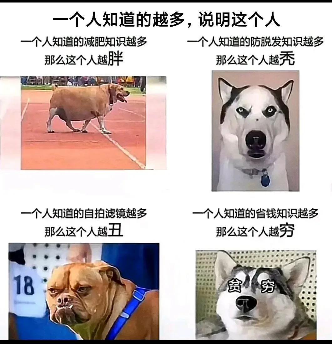 神评爆笑合集:19岁了,身体长成这样还有救吗?神评把我气哭了 神评爆笑合集:19岁了,身体长成这样还有救吗?神评把我气哭了