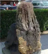 关于发型的那些事儿 关于发型的那些事儿