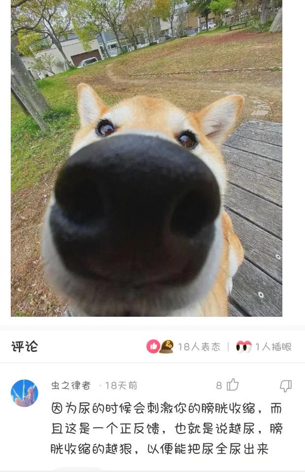 神回复:偷亲女同事后,结果我的脸红了 神回复:偷亲女同事后,结果我的脸红了