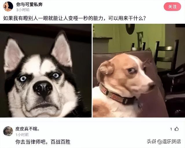 “妈妈说左边的女孩最漂亮，但我最终选择穿绿裙子的！”哈哈哈