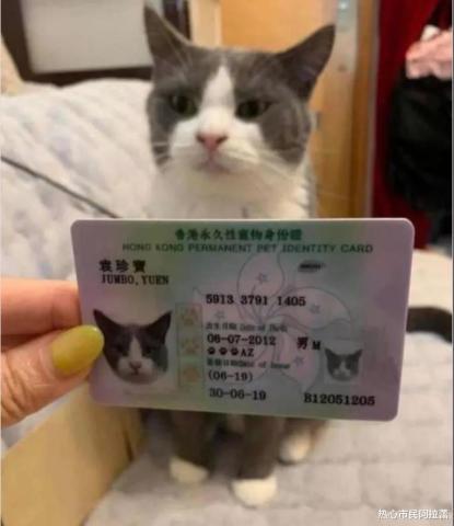 “刀是什么刀,金丝大环刀……”我猜没有一个90后认识他!哈哈哈哈 “刀是什么刀,金丝大环刀……”我猜没有一个90后认识他!哈哈哈哈