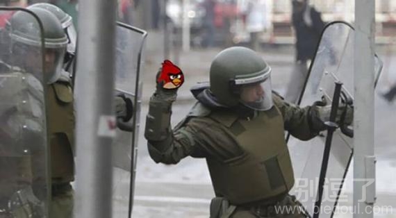 愤怒的小鸟,走你! 愤怒的小鸟,走你!