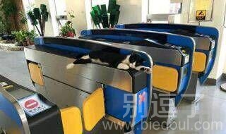 喵星人临检了...