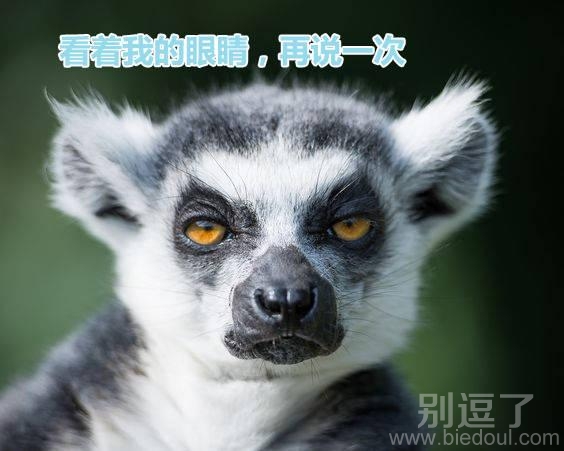 再说一次