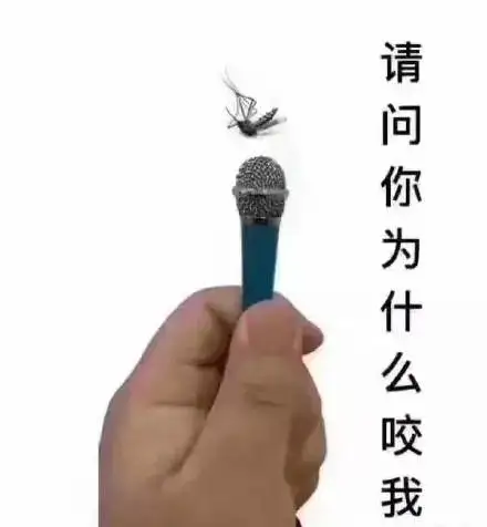 轻松一刻:人生何其无常,小麦也能换房?! 轻松一刻:人生何其无常,小麦也能换房?!