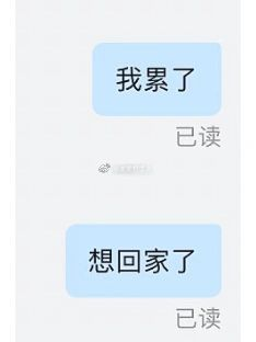轻松一刻:人生何其无常,小麦也能换房?! 轻松一刻:人生何其无常,小麦也能换房?!