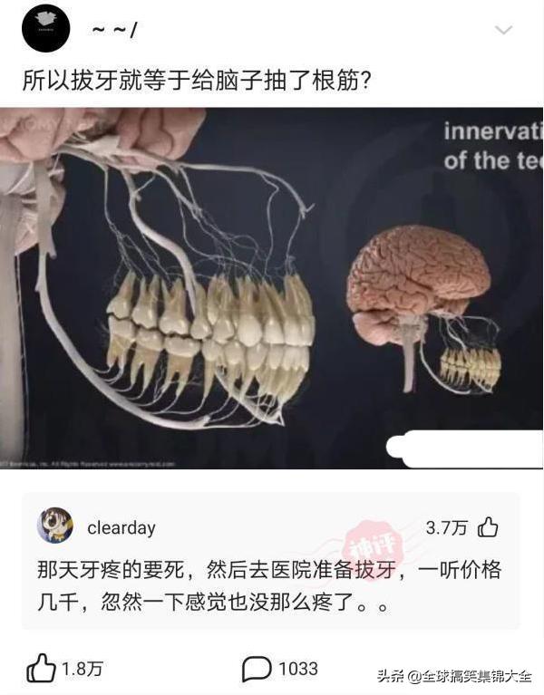 神回复:交往两星期的女友,每天过来给我洗衣服,是不是傻? 神回复:交往两星期的女友,每天过来给我洗衣服,是不是傻?
