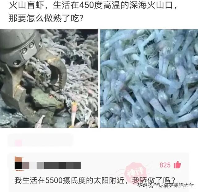 神回复：交往两星期的女友，每天过来给我洗衣服，是不是傻？