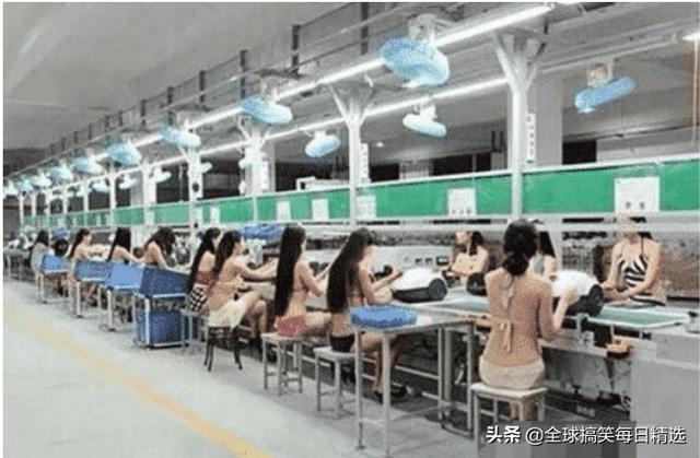 神回复:鸭子最希望的就是不被人吃掉吧 神回复:鸭子最希望的就是不被人吃掉吧
