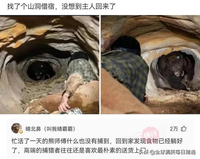 神回复:鸭子最希望的就是不被人吃掉吧 神回复:鸭子最希望的就是不被人吃掉吧