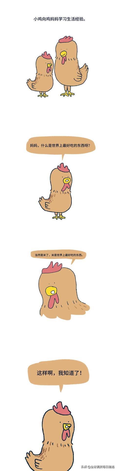 神回复:鸭子最希望的就是不被人吃掉吧 神回复:鸭子最希望的就是不被人吃掉吧
