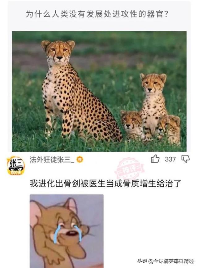 神回复:鸭子最希望的就是不被人吃掉吧 神回复:鸭子最希望的就是不被人吃掉吧