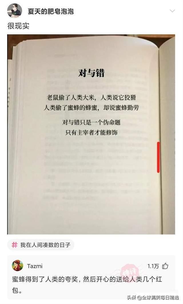 神回复:鸭子最希望的就是不被人吃掉吧 神回复:鸭子最希望的就是不被人吃掉吧