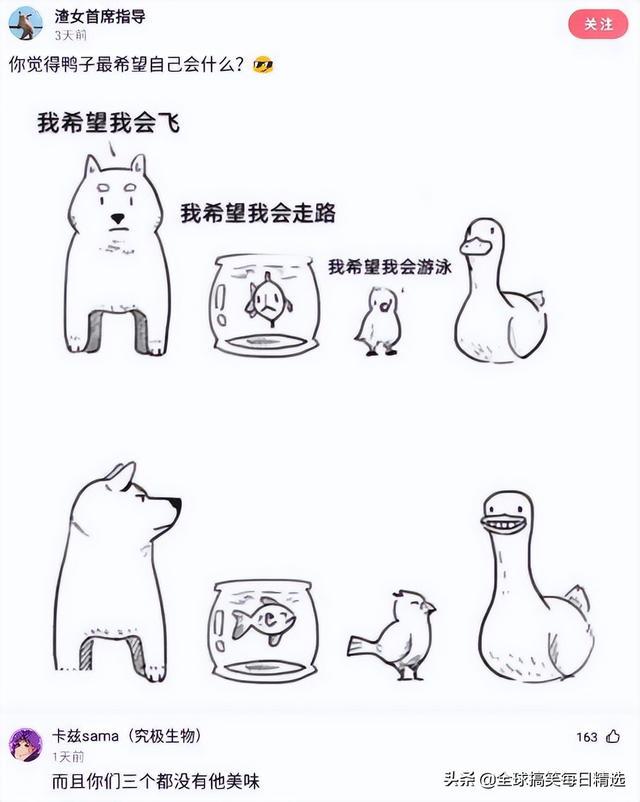 神回复:鸭子最希望的就是不被人吃掉吧 神回复:鸭子最希望的就是不被人吃掉吧