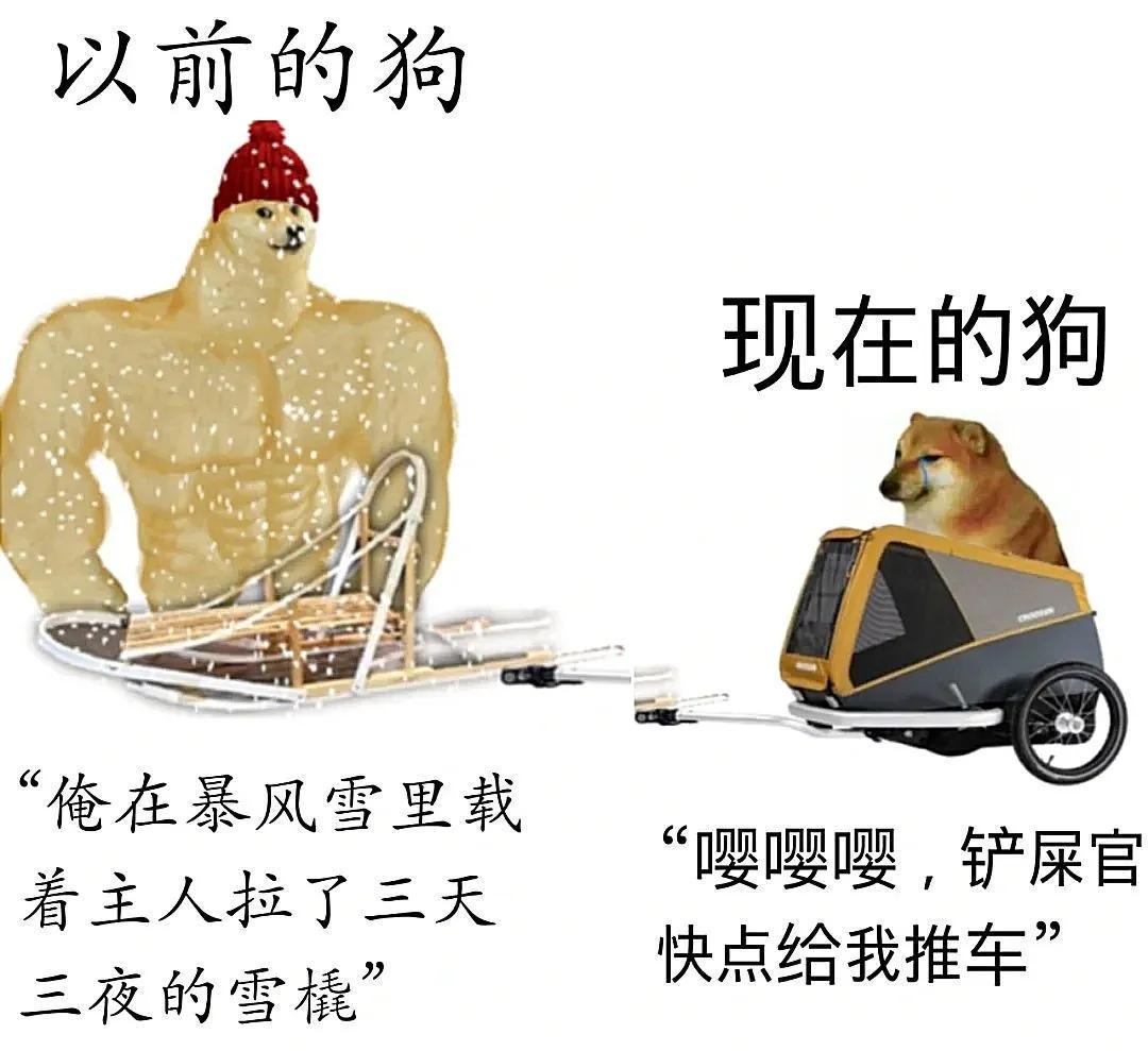 妹子在车里也得注意姿势啊,外面都看见了,不尴尬吗哈哈哈 妹子在车里也得注意姿势啊,外面都看见了,不尴尬吗哈哈哈