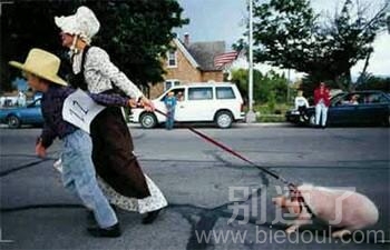 一只猪的生活。。 一只猪的生活。。