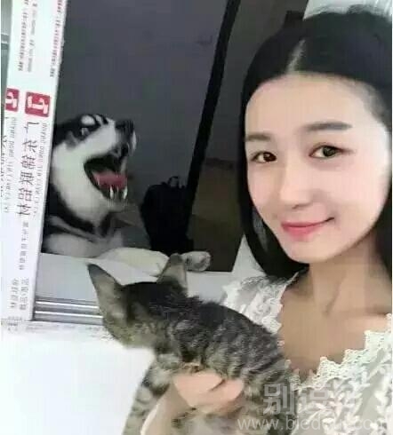 汪星人心里不平衡了 汪星人心里不平衡了