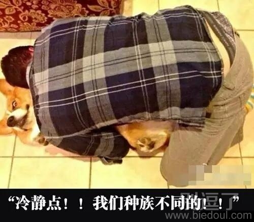 但是你还是很享受的样子