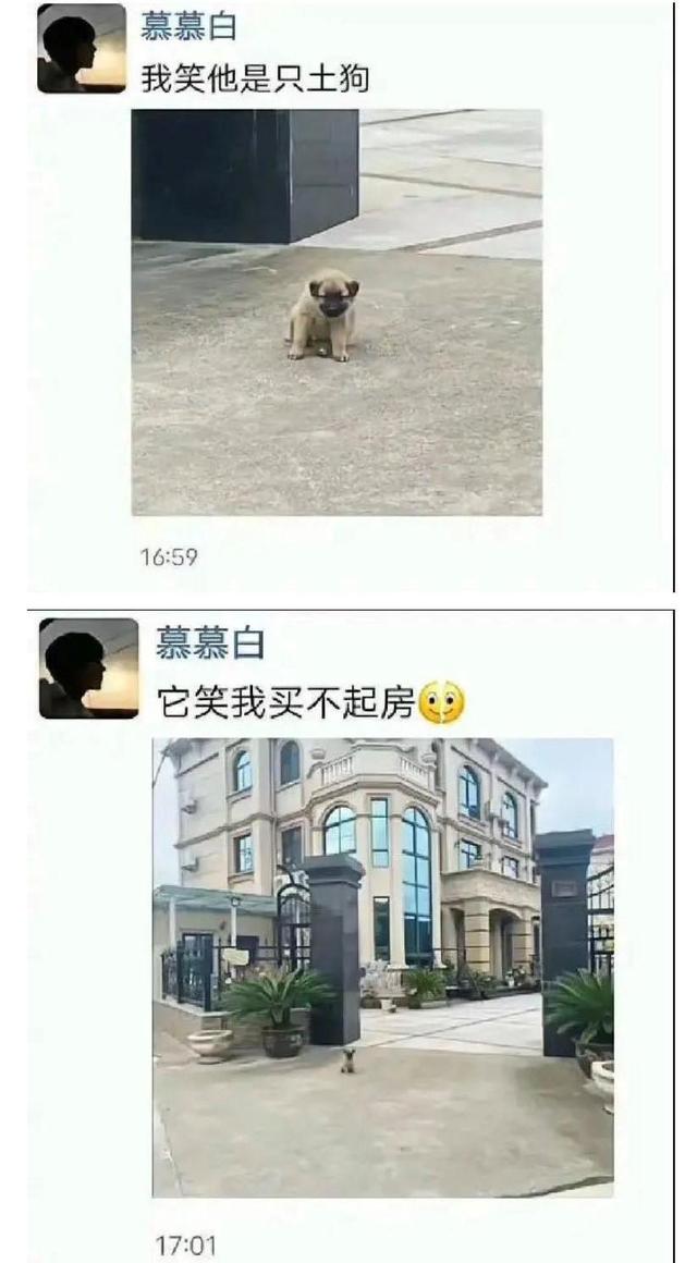 爆笑神评:有那种出淤泥而不染的照片吗?神评里有,绝对纯洁 爆笑神评:有那种出淤泥而不染的照片吗?神评里有,绝对纯洁