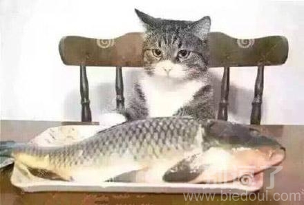 看看你可怜的样子啊。