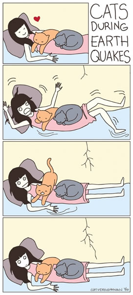 漫画图片之大话体育明星