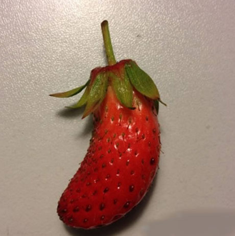 搞笑物品图片也疯狂,不解释。