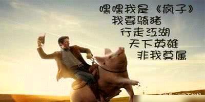 每日一笑:熊哥,这是什么玩意,不知道能不能吃 每日一笑:熊哥,这是什么玩意,不知道能不能吃