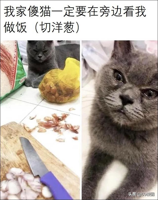 梗图合集：朋友，别做白日梦了，快醒醒