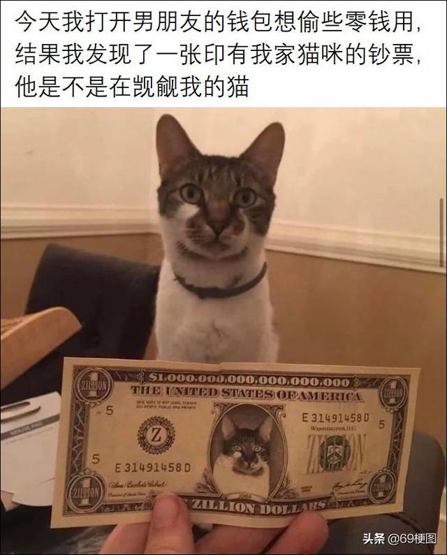 梗图合集：朋友，别做白日梦了，快醒醒