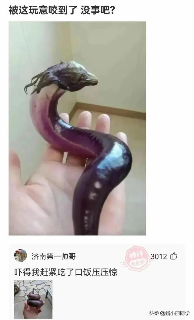 神回复:我该怎么劝阻这种不文明行为?网友:劝你不要多管闲事 神回复:我该怎么劝阻这种不文明行为?网友:劝你不要多管闲事