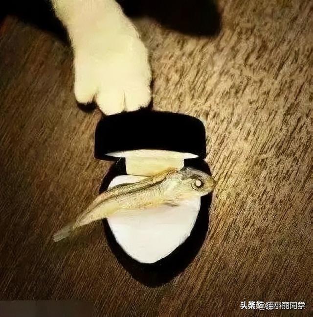 神回复:我该怎么劝阻这种不文明行为?网友:劝你不要多管闲事 神回复:我该怎么劝阻这种不文明行为?网友:劝你不要多管闲事