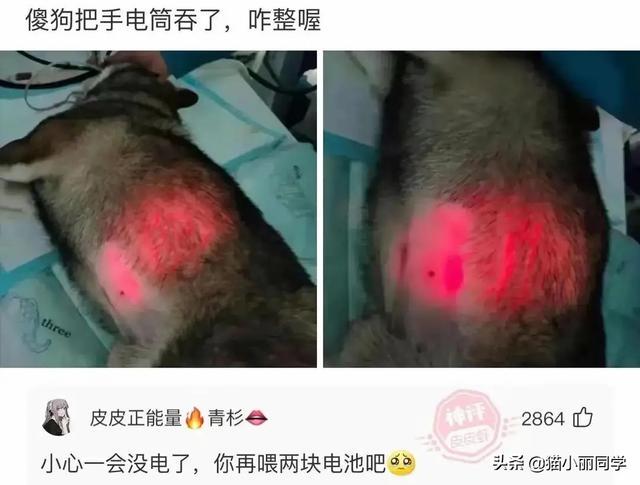 神回复:我该怎么劝阻这种不文明行为?网友:劝你不要多管闲事 神回复:我该怎么劝阻这种不文明行为?网友:劝你不要多管闲事
