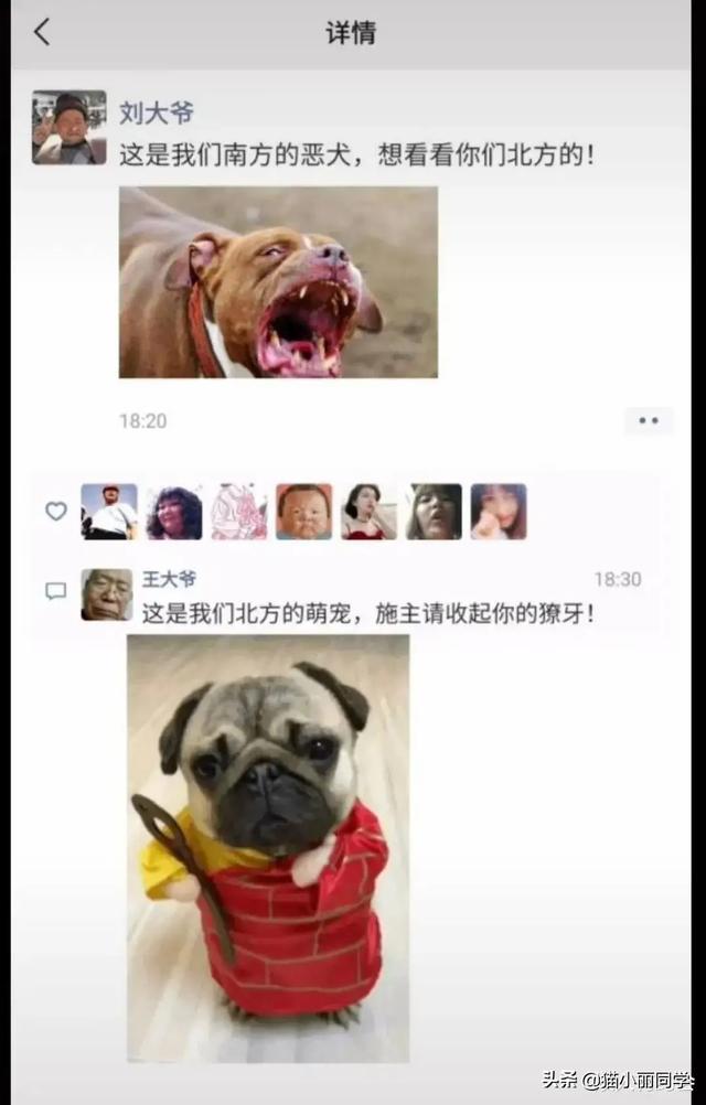 神回复：我该怎么劝阻这种不文明行为？网友：劝你不要多管闲事