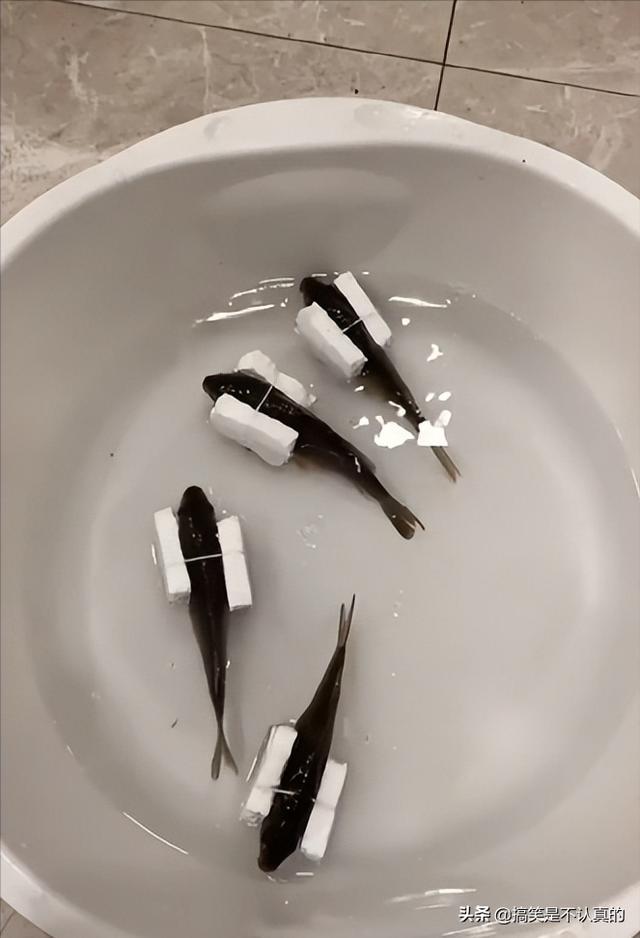 妹子以后拍照还是远离玻璃吧,你的影子已经说明了一切,真尴尬 妹子以后拍照还是远离玻璃吧,你的影子已经说明了一切,真尴尬