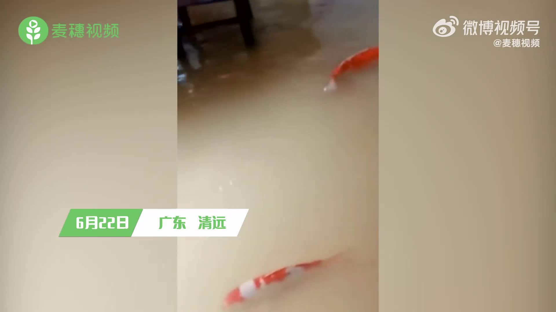 轻松一刻：被盘到包浆的物件，用起来就是顺手！