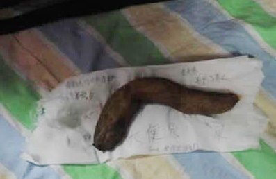 人生无处不恶搞,无处不快乐。