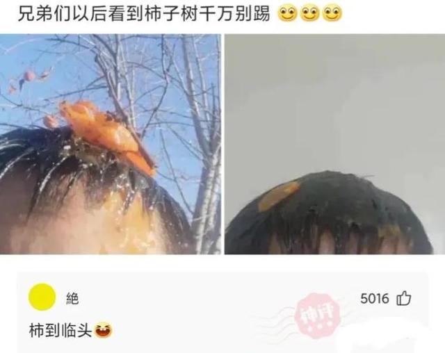 神回复：姑娘心也太大了，真是啥地方都敢自拍！大婶都看不下去了