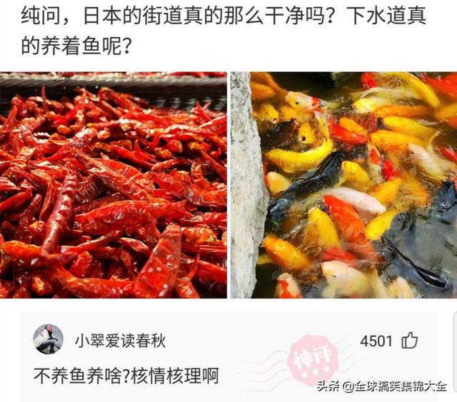 神回复:姑娘心也太大了,真是啥地方都敢自拍!大婶都看不下去了 神回复:姑娘心也太大了,真是啥地方都敢自拍!大婶都看不下去了