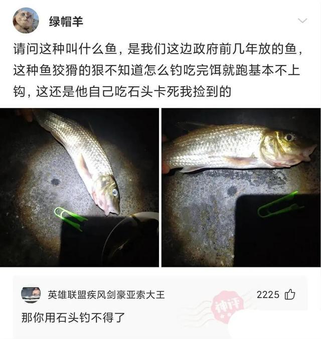 爆笑神评:一见女孩连个屁都放不出来,该怎么聊天? 爆笑神评:一见女孩连个屁都放不出来,该怎么聊天?