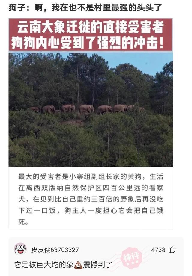 爆笑神评:一见女孩连个屁都放不出来,该怎么聊天? 爆笑神评:一见女孩连个屁都放不出来,该怎么聊天?