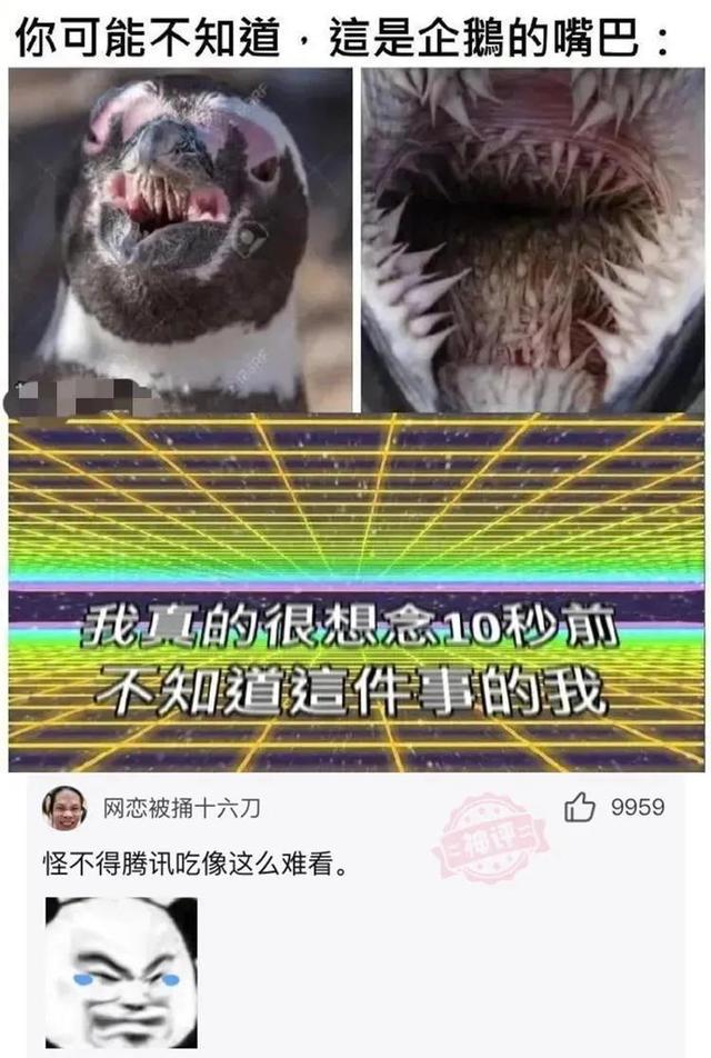爆笑神评:一见女孩连个屁都放不出来,该怎么聊天? 爆笑神评:一见女孩连个屁都放不出来,该怎么聊天?