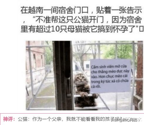 “女生和闺蜜私底下都会说什么虎狼之词?”哈哈哈男生们别躲着了 “女生和闺蜜私底下都会说什么虎狼之词?”哈哈哈男生们别躲着了