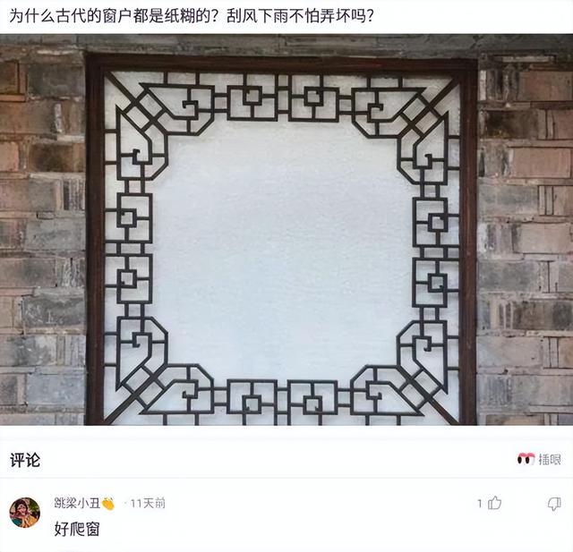 神回复:好可爱,想带一只回去养,请问可以养多久? 神回复:好可爱,想带一只回去养,请问可以养多久?